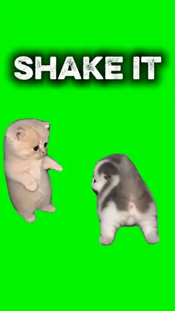 SHAKE IT KITTENS