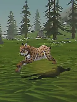 Wildcraft editt 