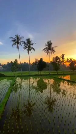 Lagu suling sunda 
