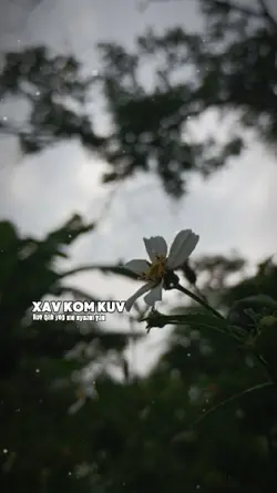 Xav kom kuv rov qab