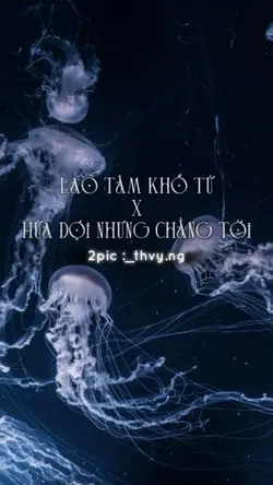 Lao Tâm Khổ Tứ 