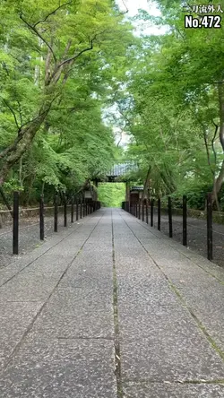 ミニドキュメンタリー