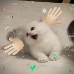 nyaah?!