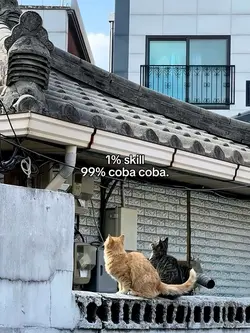 99% coba coba 
