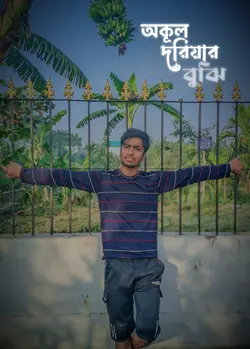 New trading song 