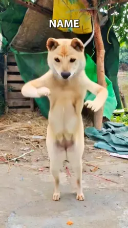 Troll bạn bè