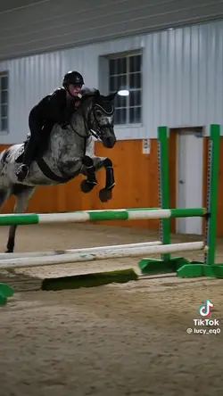 The pony is for sale