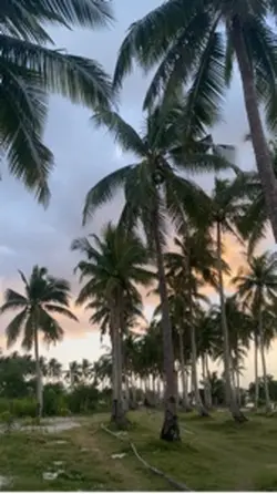 daydream