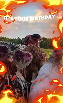 TREND EDIT GOAT