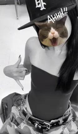cat sticker