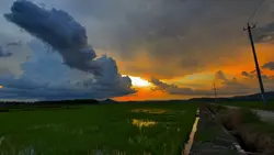 Mẫu cực chillll