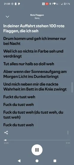 rote Flagge 