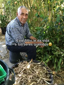 Vida a tu foto filtr