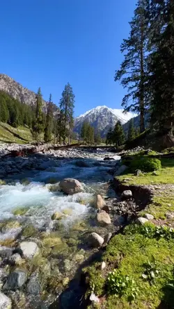 River View