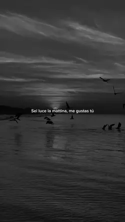  A me mi piace, Alfa