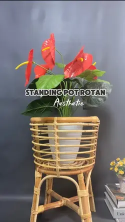 Standing pot rotan 