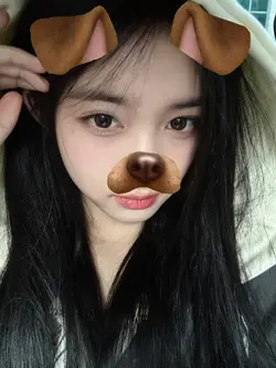 dog filter 