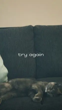 try again - 2 ảnh.