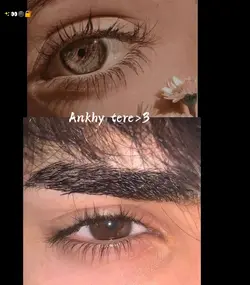 Ankhy tere>3