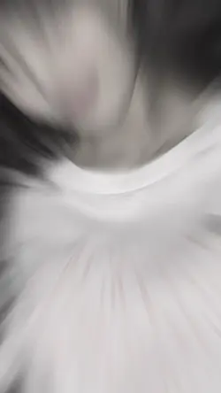 เพลง