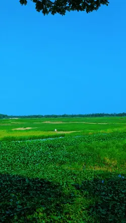 সরল বাংলাদেশ 
