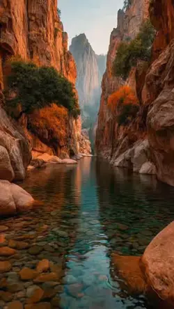 Canyon Rive