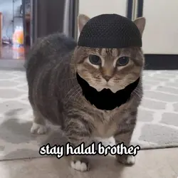 stay halal brother
