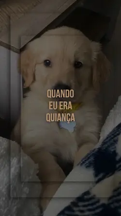 eu quiança 🐶💰