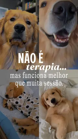 Amor animal