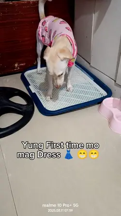 1sttime mag dress
