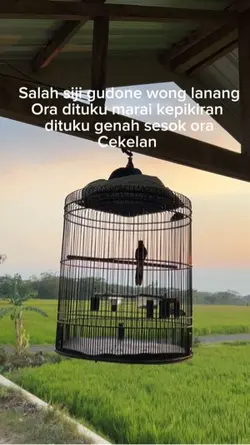 😭
