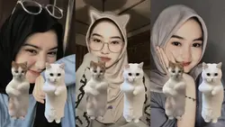 kucing collab ber3