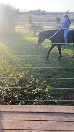 Flash is for sale