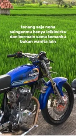 Story Wa