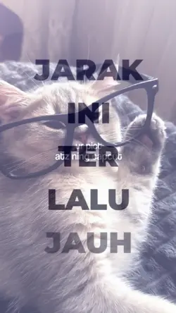 JJ SESI POTRET KANE