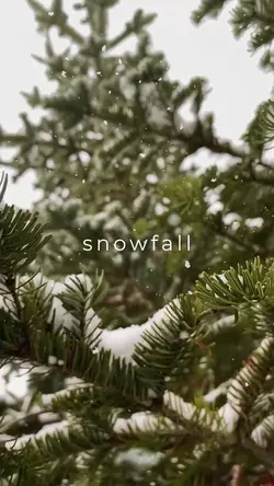 Snowfall