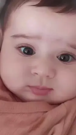 Yeni Şablon 
