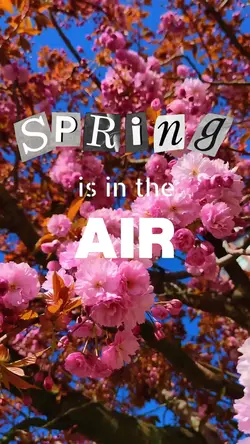Spring is in the air