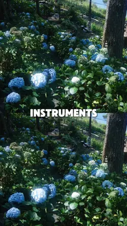 INSTRUMENTS