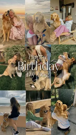 Birthday my dog
