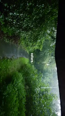 Nature...
