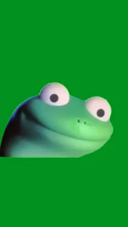 lizard lizard 