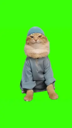 ramadan cat
