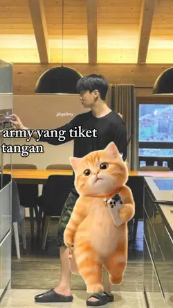 kucing petantang