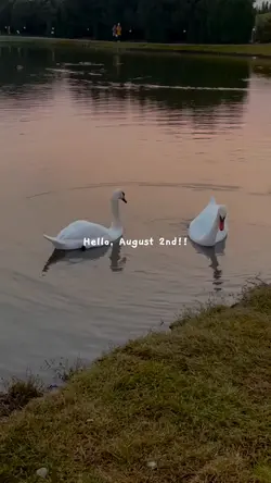 Hello August 2nd 