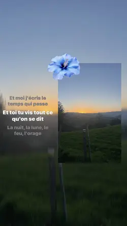 En nuit-Videoclub
