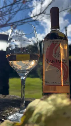 Wine rose
