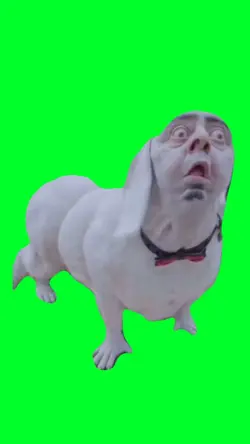 Dog barking meme