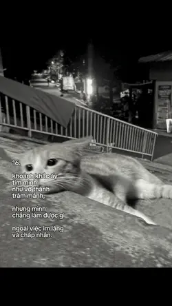 cap tâm trạng
