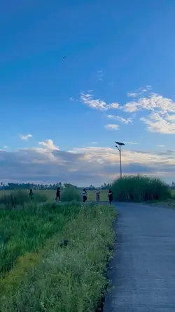 Vlog 